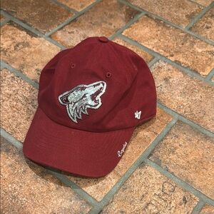 47’ Coyotes Sequin hat